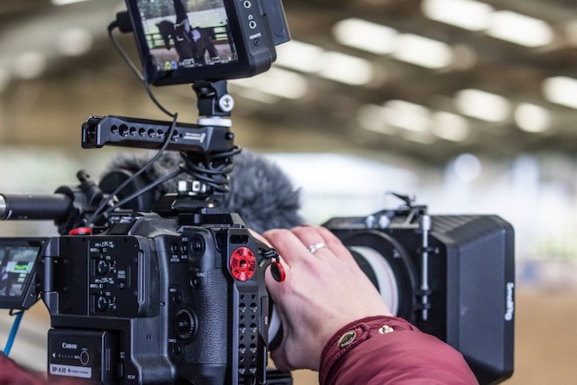 Bgm 6226 — Black Grouse Media
