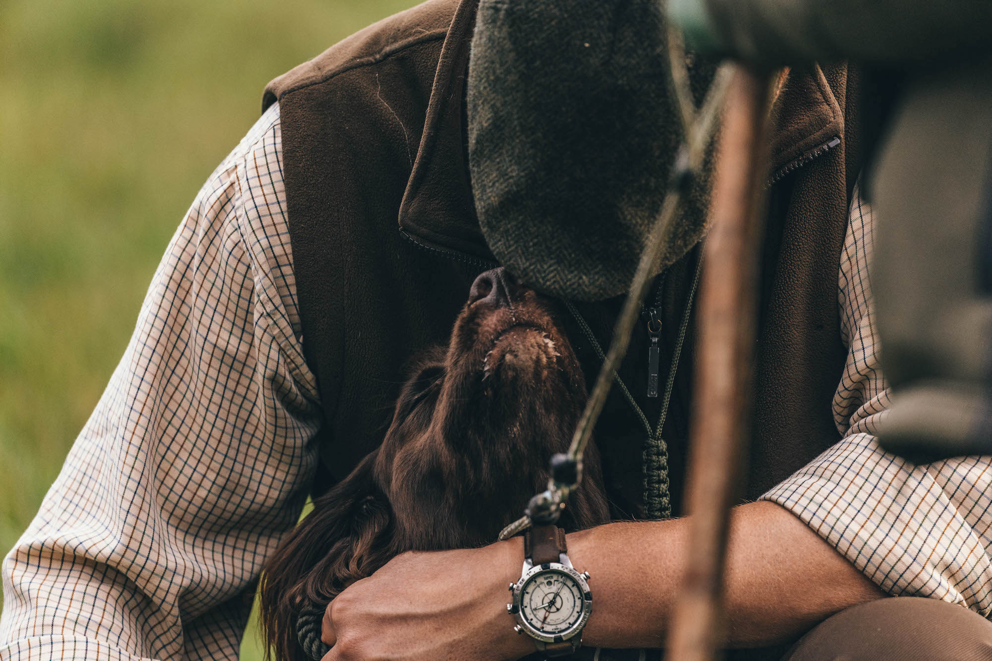 Bgm 3752 — Black Grouse Media