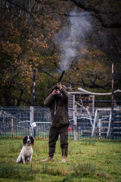 Bgr36974 — Black Grouse Media