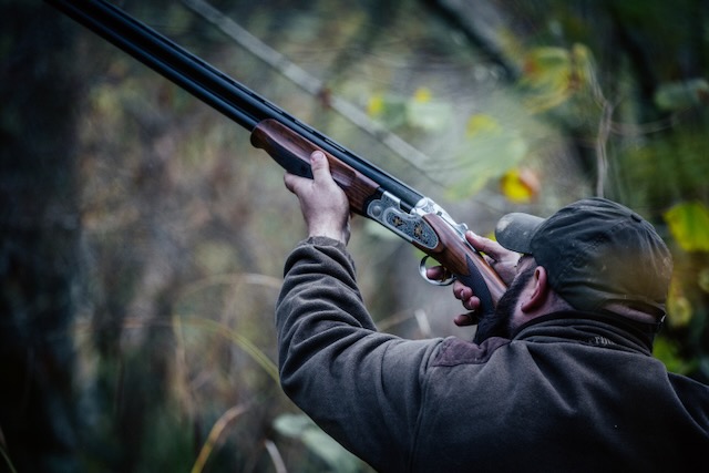 Bgr37896 — Black Grouse Media