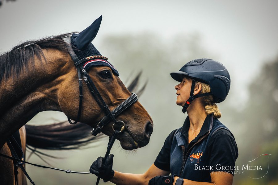 Horse content project