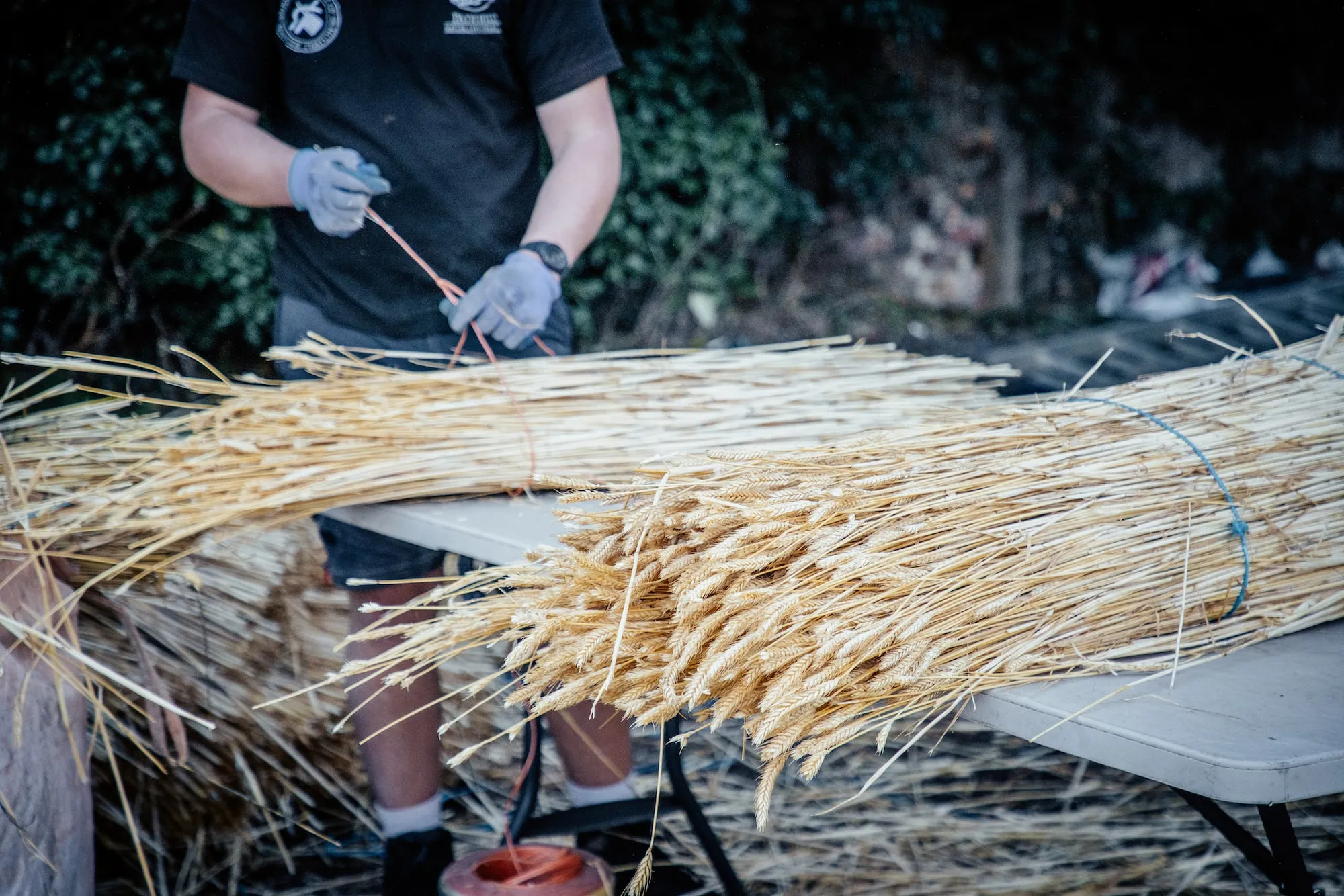 A thatcher tying crop together ready to thatch a roof
